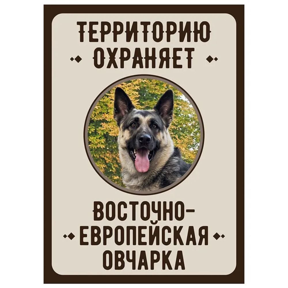 Металлическая табличка «Осторожно, злая собака», табличка на забор или дверь 18x25 см