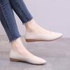 Doudou shoes women's 2019 summer new pointed shallow mouth flat sole shoes Korean version women's shoes