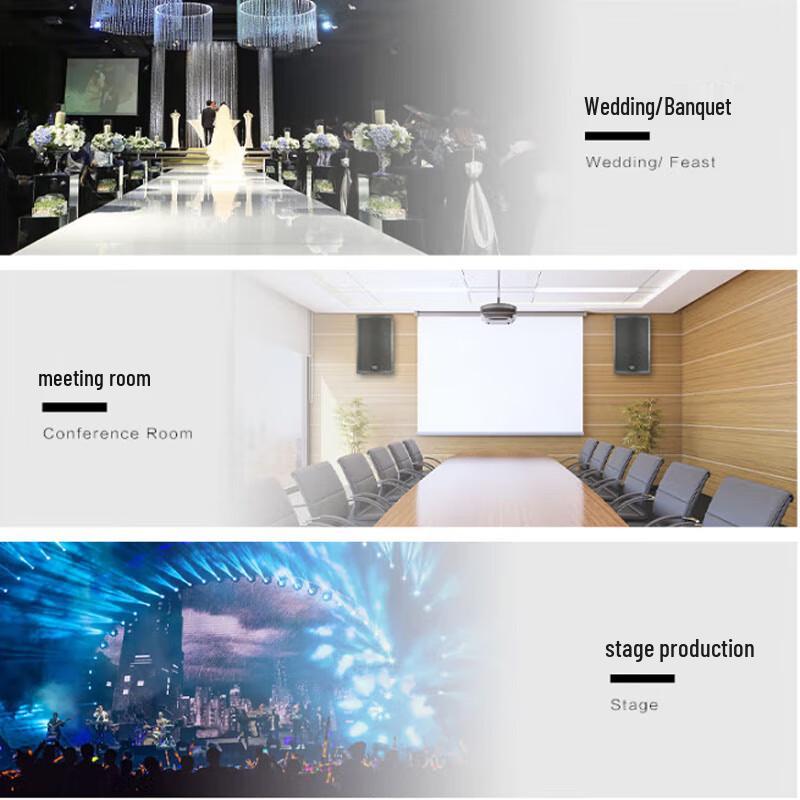 Huido 12-inch Professional Full-Range Conference Speaker