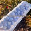 Natural Blue Lace Agate Large Tumbled Stone Ornament