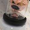 Valentine’s Day Gift: Preserved Rose Night Light Ornament with Artificial Soap Flower, Glass-Covered Souvenir.