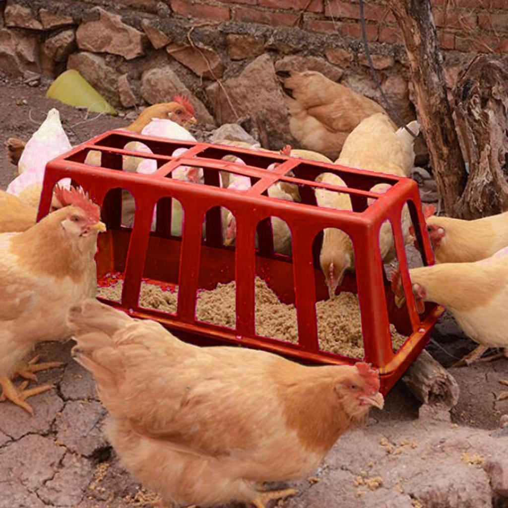 Poultry Chicken feed Trough Feeder Drinker Food Dispenser Convenient Durable 56cmx28cm