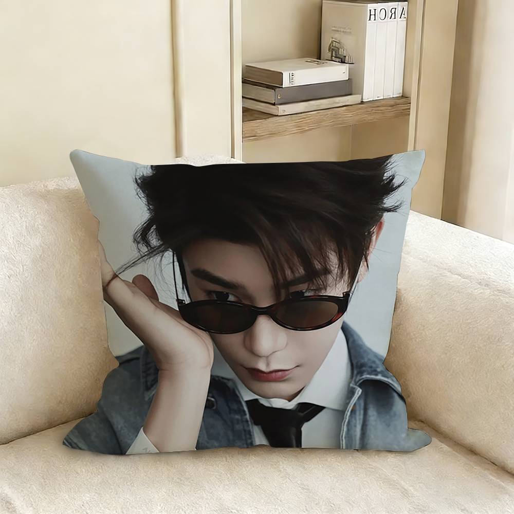 Ryan Ding Yuxi Mu Sheng Pillow Case Living Room Sofa Cushion Cover Suitable For Home Bedroom Room Decoration