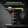 Beardo Rosemary Essential Oil 15 ml Pack of 1 for Hair Growth, Hair Fall, Skin Nourishment, 100% Natural Aroma Oil
