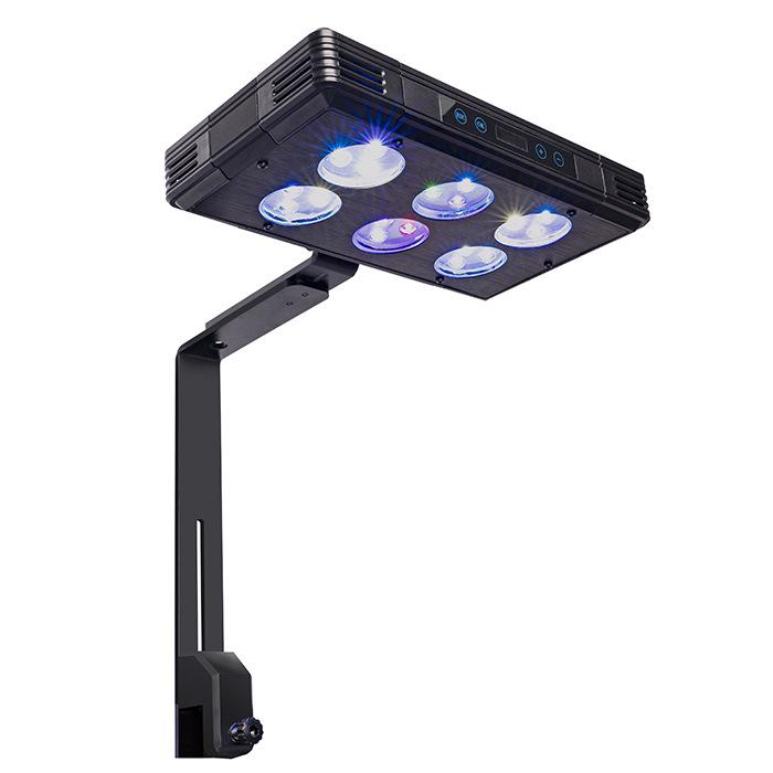 GAKO Coral Light Q2B Full Spectrum LED Clip Light for Small Saltwater and Algae Tanks