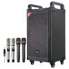 Malata M+9035B Portable Trolley Karaoke Speaker (CN Version)