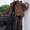 Clearance Down Jacket Women's Winter New Pinghu Women's Clothing Large Size Short Duck Down Jacket