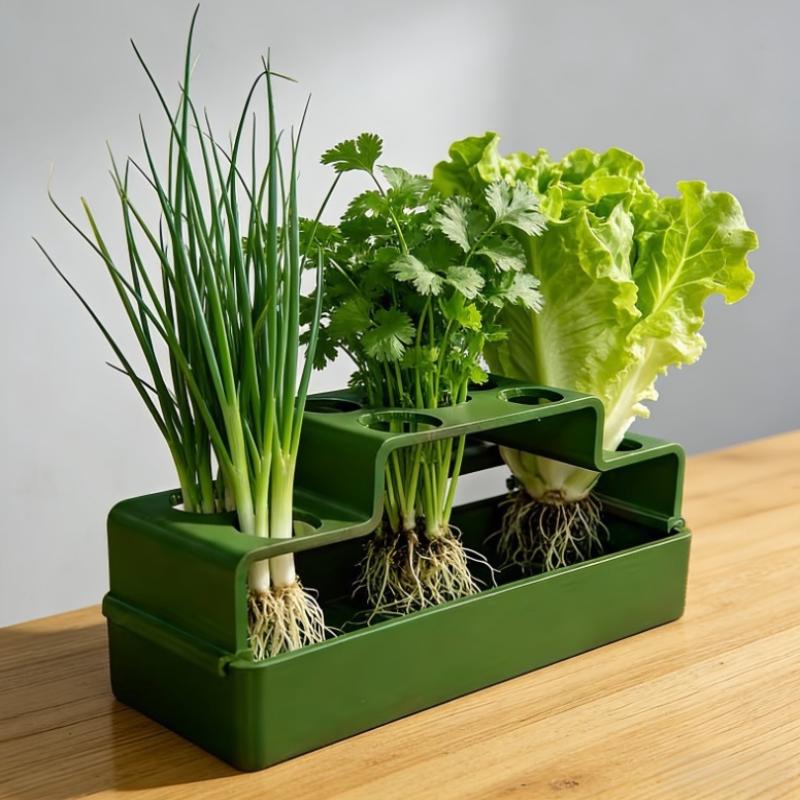 A Planting Device Specifically Designed For Green Onions, Featuring A Hydroponic System That Allows For Repeated Growth