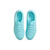 Nike Tiempo Legend 10 Academy Junior Low Top Soccer Shoes Baby sneaker Green DV4349-401