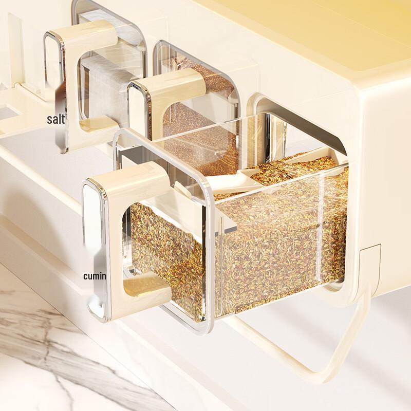 Multifunctional Wall-Mounted Spice Organizer