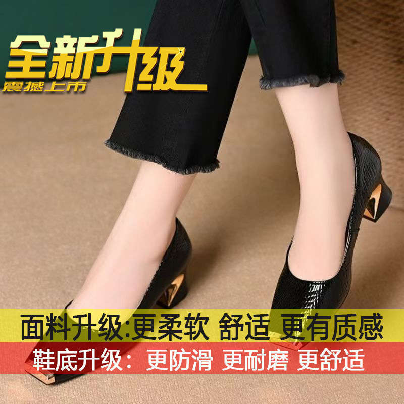 Mid-heeled Shoes Spring and Autumn Fashion Metal Head Versatile Shoes 2025 New Square Head Women's Shallow Mouth Thick Heel Single Shoes Women