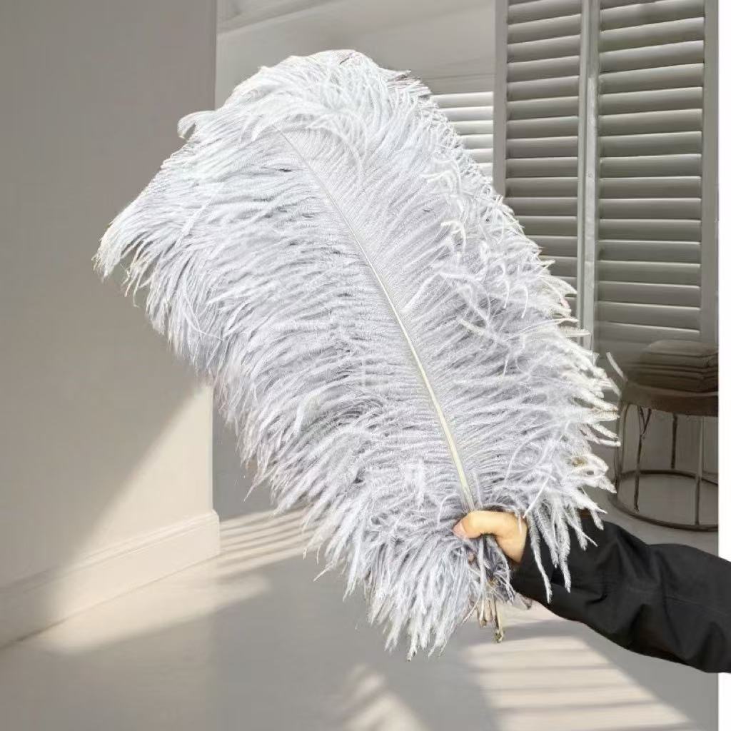 1pcs Ostrich Hair 65-70Cm Photo Feather Wall Wedding Road Guide Decorative Props Colored Feathers
