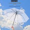 Colorful Long Handle Transparent Automatic Umbrella with Custom Logo