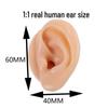 Silicone Ear Model for Training, Display & Ear Studs or Earphones