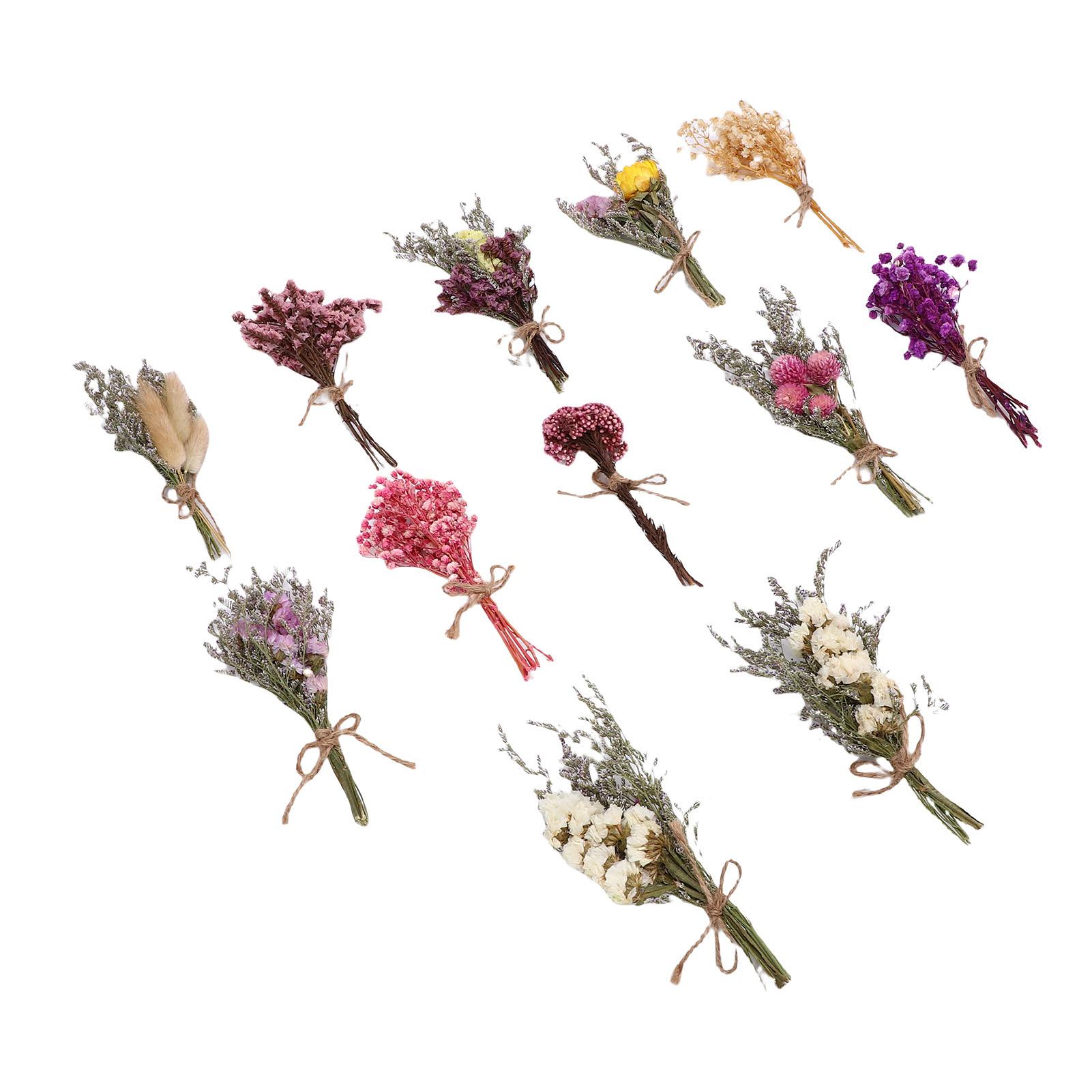 

12 шт. Маленький букет из сухоцветов Ручная работа Декор из сухоцветов для свадебной вазы Украшение для обеденного стола