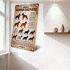 Colors of German Shepherd Vintage Metal Sign - Educational Dog Color Illustrations with Mounting Holes 8x12 Inch Wall Decor for