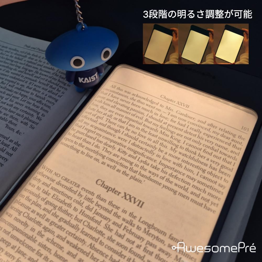 AwesomePré Buchlampe, LED Leselampe, USB Wiederaufladbar, Warmer oder Kühler Ton, Kabellos, Tragbar, Buchlampe (Warme LED)