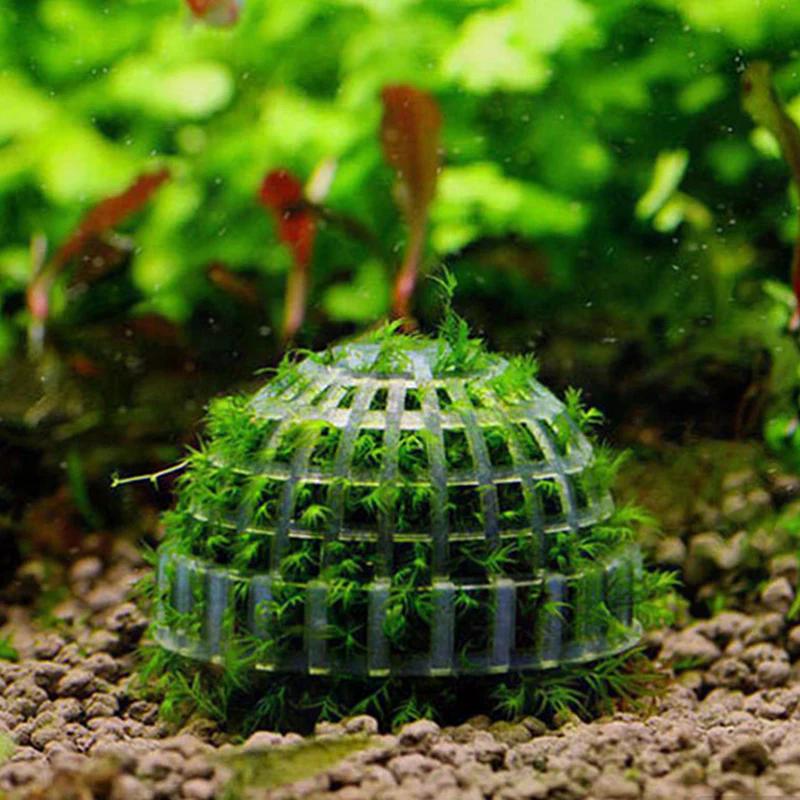 1Pcs Aquatic Pet Supplies Decorations Aquarium Moss Ball Live Plants Filter Pet Decor