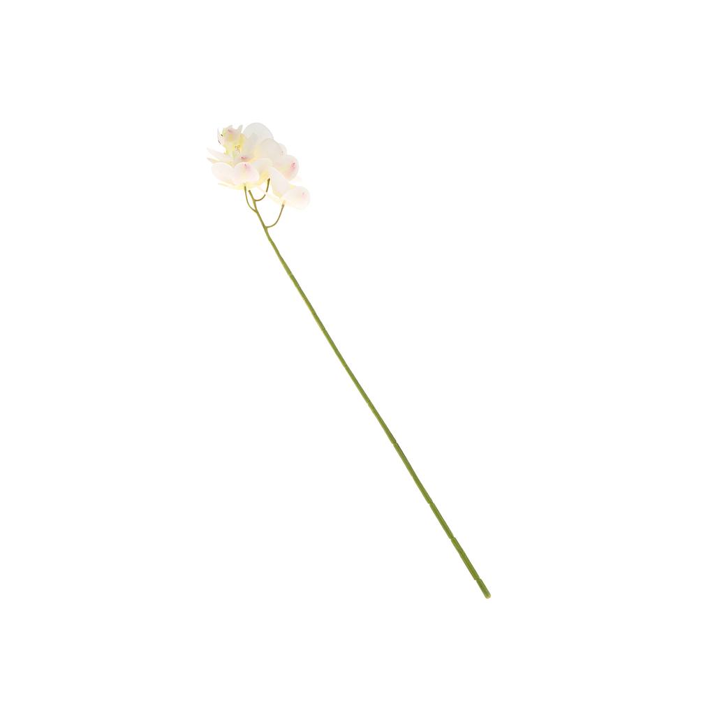 6 Head Artificial Phalaenopsis Orchid Flowers Fade Resistance Faux Orchid Stems for Vase Home Decor White