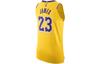 Nike Los Angeles Lakers Icon Edition Men's Nike Dri-FIT Adv Nba Authentic Jersey DM6028-731