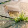 Wire Brush for Paving Stones, Cobblestones, Weeds, Grass, Moss Removal
