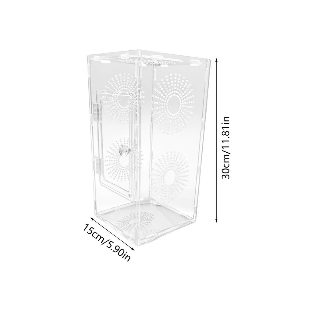 Terárium pro skákavky Malé terárium pro plazy pro kudlanky Žáby Plná průhlednost Bezpečný box na krmení kudlanek
