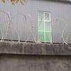 Barbed Wire & Razor Wire Security Fencing