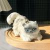 Cute Persian Stress Relief Toy Gift
