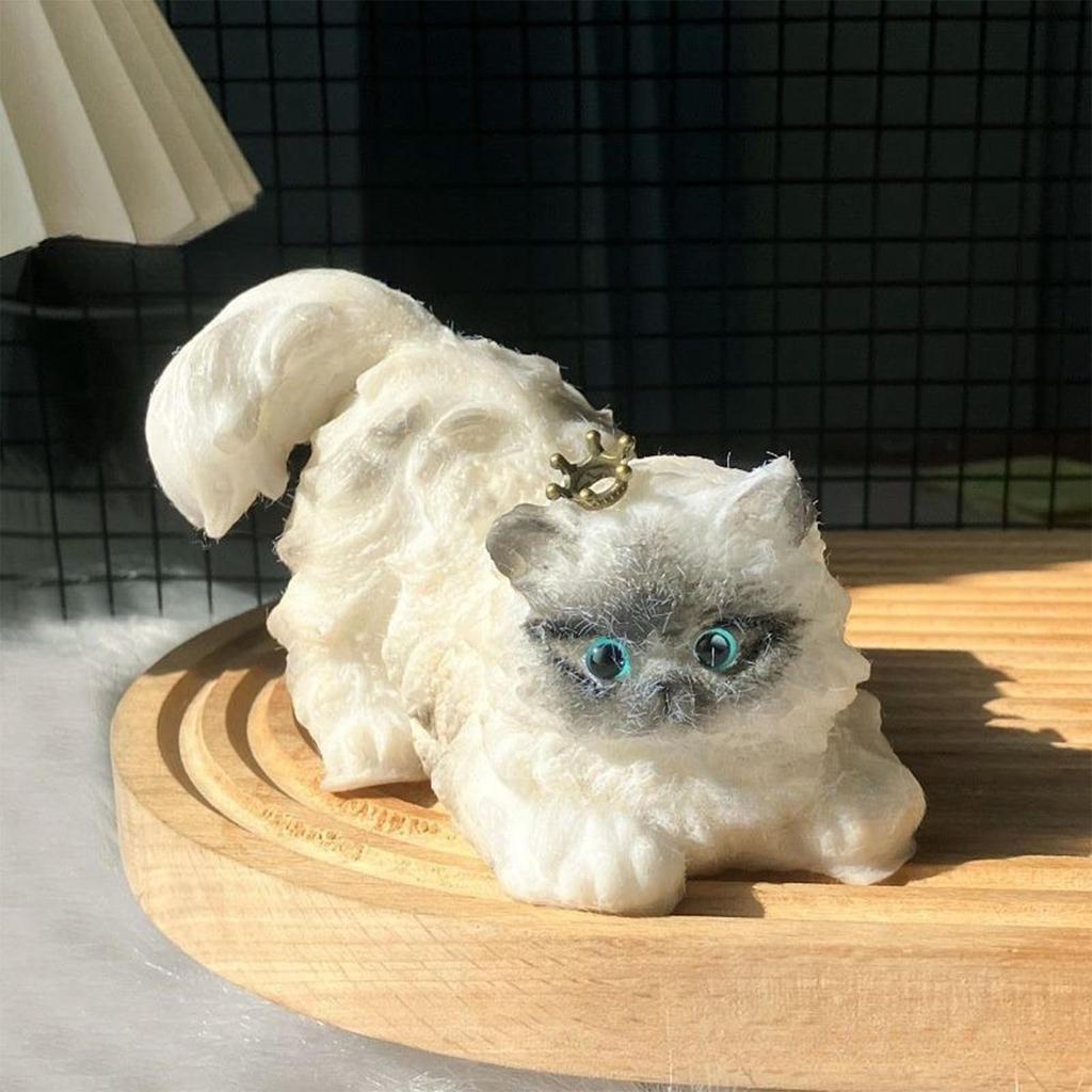 Cute Persian Stress Relief Toy Gift