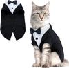 Katten – Kleding voor katten