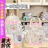 Children's Schoolbag Elementary School Student High Value Girl Junior High School Student High School School Backpack