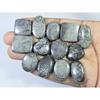 260Cts. Natural Black Fossil Coral Mix Cabochon Loose Gemstone 13 Pcs Lot C-634