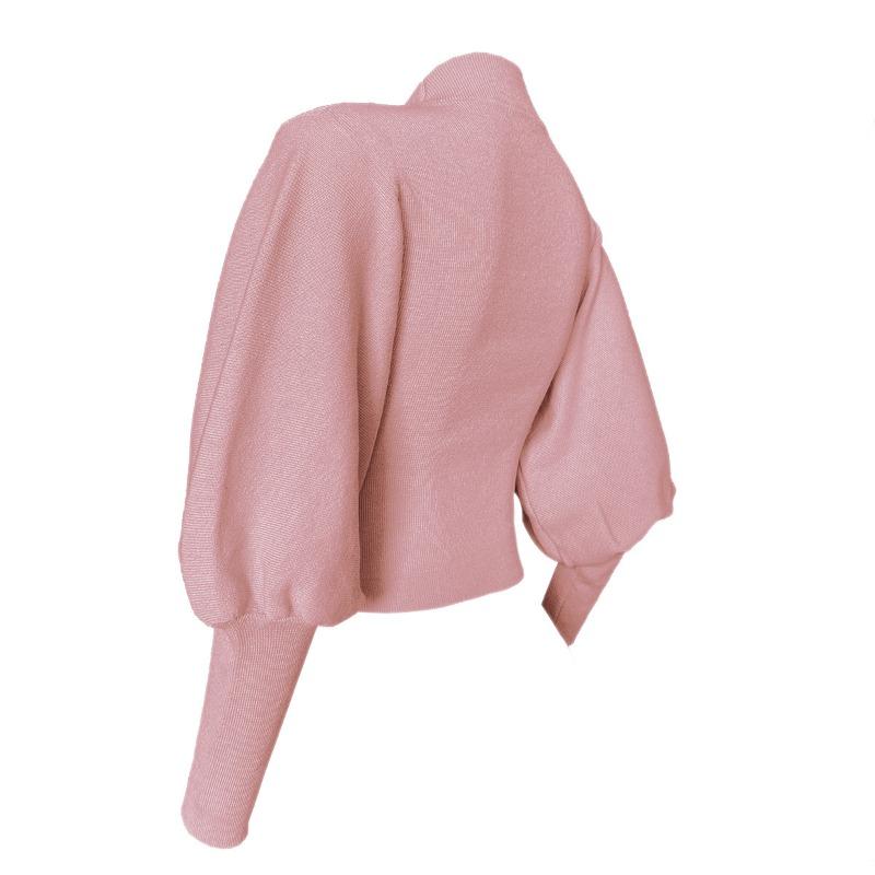 Autumn and Winter Women's Net Color Knitted Lantern Sleeve Long Sleeve Pullover Turtleneck Wool Sweater