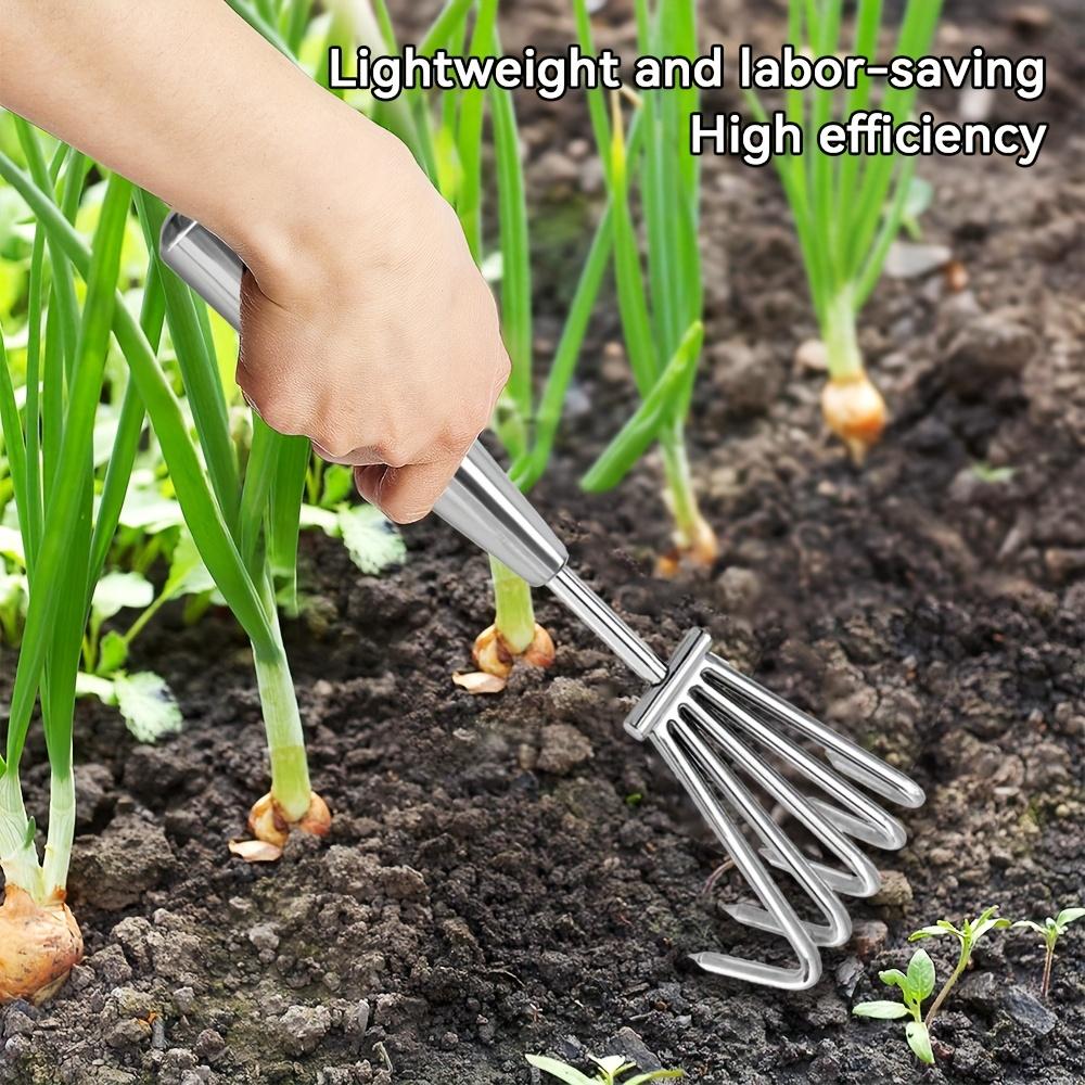 Thickened Stainless Steel Rake Set with a Conical Sharp Tooth Design, Ideal for Beach Digging And Clam Harvesting. Features a Mirror-End