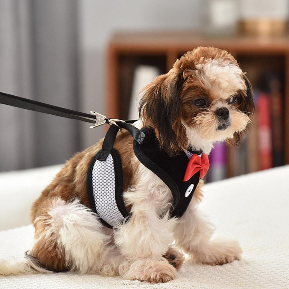 Haustier Polyester Abendkleid Brustgurte Geschirr mit Zugleine für Hund KatzeL
