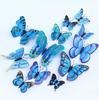 Blue 3D Magnet Butterefly Self Adhesive Wall Décor Home Décor Wall Sticker (Set of 12)