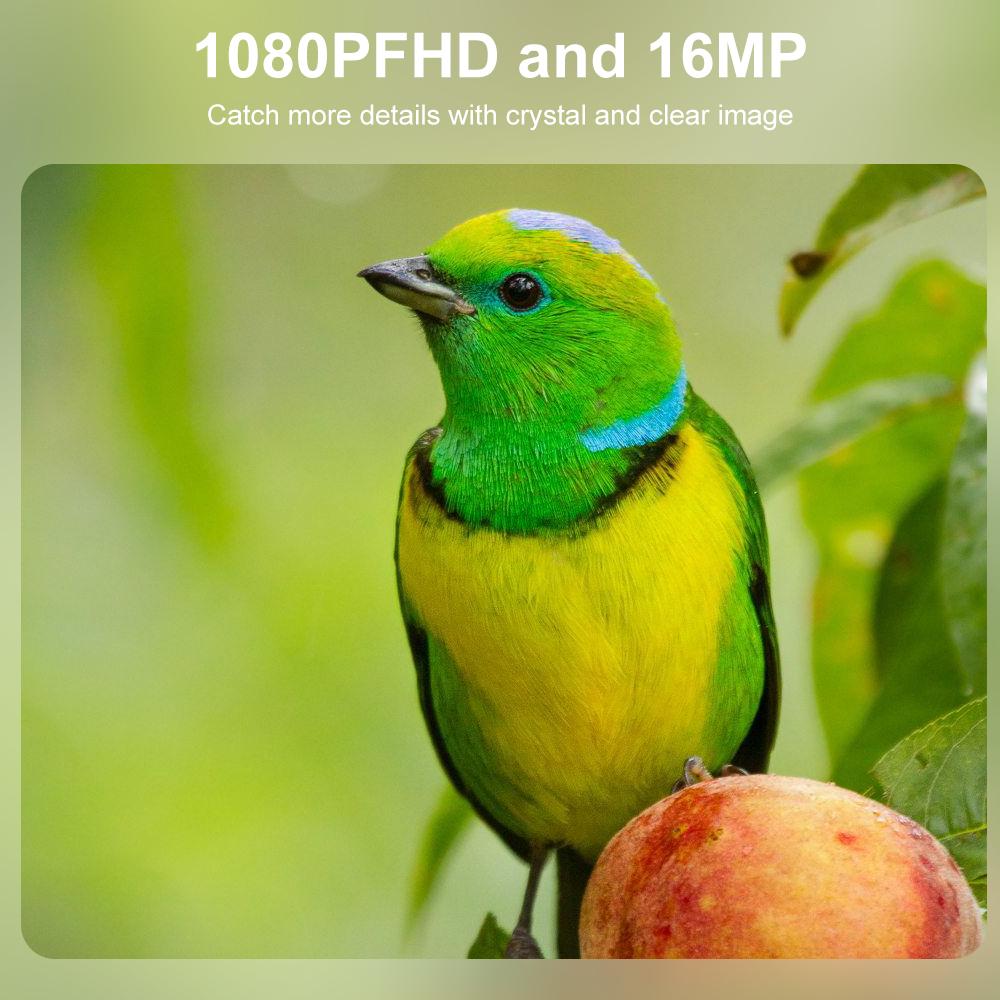 2025 Mini Hunting Camera HD Wildlife Monitor 940nm Infrared Night Vision Rugged and Waterproof Trail Camera for Scouting Hunting