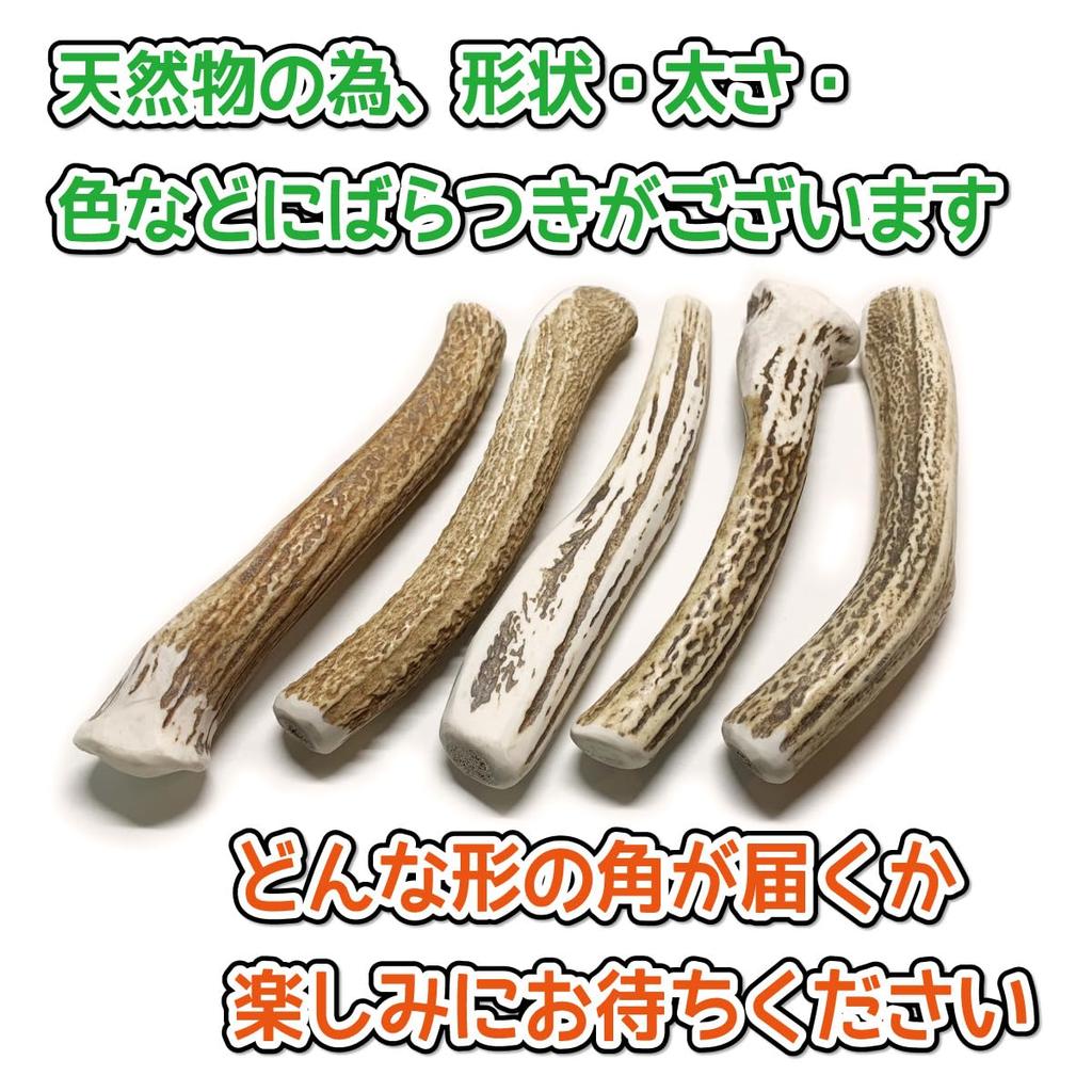 Shikakusan Deer Antler Dog Toy for Large 1 Hokkaido Ezo Dental 1 Large Piece Dogs, Unbroken, Piece, Deer, Natural, Additive-Free, Ozone-Treated, Care,