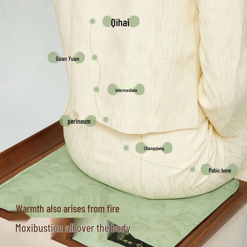 Zodian Palace Museum Heated Moxibustion Seat Cushion