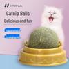 Rotating Catnip Ball Toy