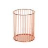yangyizhi Metal Pen Holder, Nordic Desk Organizer for Makeup Brushes, Anti-Rust Multifunctional Storage Basket Pencils Office Supplies
