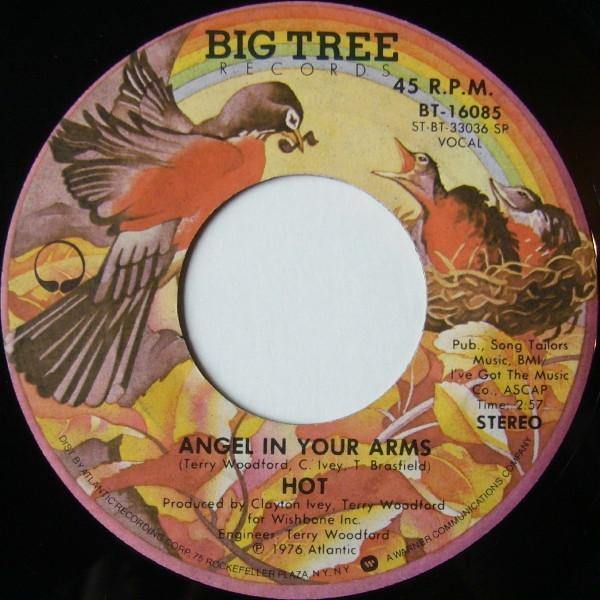 

7inch Record HOT - Angel In Your Arms BT16085 Big Tree Record 1977 US Soul/Funk Used