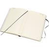 Moleskine 12M Daily L Planner