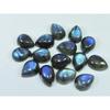 10X13MM Natural Labradorite Blue Fire Pear Cabochon Loose Gemstone 15Pcs Lot C-1111