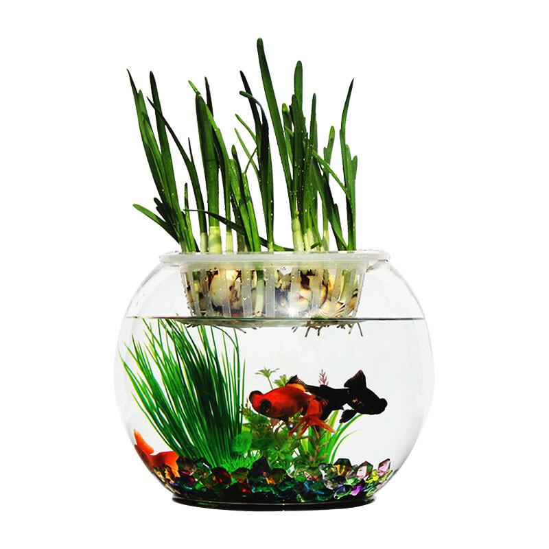 Yi Meng Round Glass Fish Tank