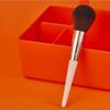 powder brush