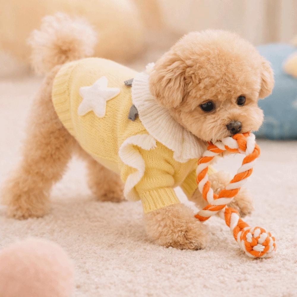 Soft Puppy Pullover Warm Dog Lapel Dress Pet Supplies Two Legs Dog Clothes  Spring Autumn