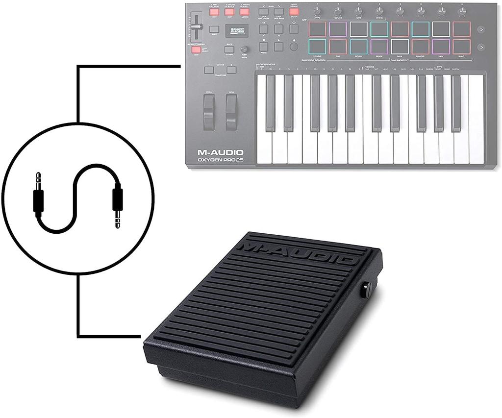 Pedal Switch for Digital Pianos and Keyboards M-Audio SP-1