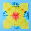 Tie-Dye Kit: Fabric Scarf DIY Set with Pigments