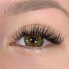 Premade 5D Classic Lash Extensions Custom Logo Wet Style 0.07mm Angel Lashes Tray Wet Set CC D Curl Korean Fiber Thick Classics